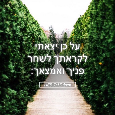 Picture 05 - משלי 7:15 HEB - על כן יצאתי לקראתך לשחר - Bible Verse Picture