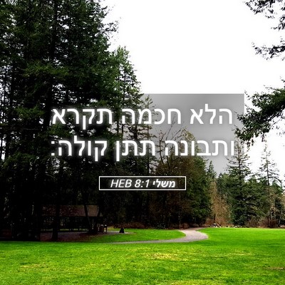 Picture 05 - משלי 8:1 HEB - הלא חכמה תקרא ותבונה תתן - Bible Verse Picture
