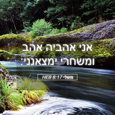 Picture 05 - משלי 8:17 HEB - אני אהביה אהב ומשחרי - Bible Verse Picture