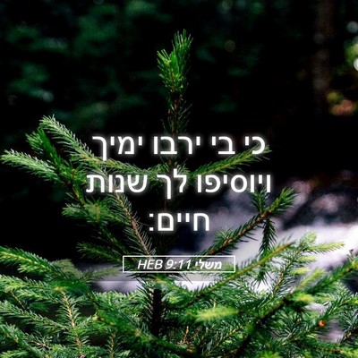 Picture 05 - משלי 9:11 HEB - כי בי ירבו ימיך ויוסיפו לך - Bible Verse Picture