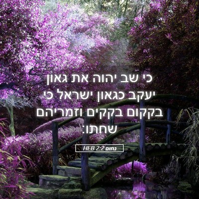 Picture 05 - נחום 2:2 HEB - כי שב יהוה את גאון יעקב - Bible Verse Picture