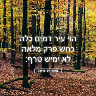 Picture 05 - נחום 3:1 HEB - הוי עיר דמים כלה כחש פרק - Bible Verse Picture