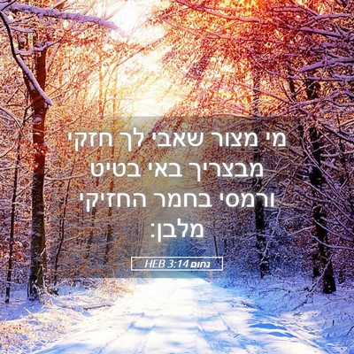 Picture 05 - נחום 3:14 HEB - מי מצור שאבי לך חזקי מבצריך - Bible Verse Picture