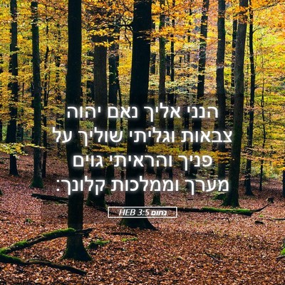 Picture 05 - נחום 3:5 HEB - הנני אליך נאם יהוה צבאות - Bible Verse Picture
