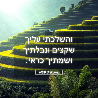 Picture 05 - נחום 3:6 HEB - והשלכתי עליך שקצים ונבלתיך - Bible Verse Picture