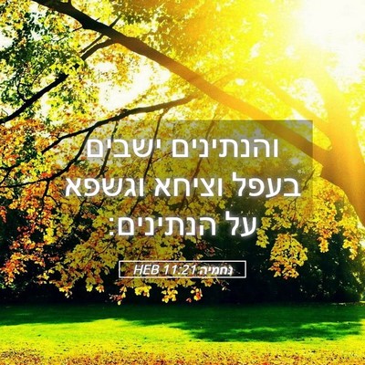 Picture 05 - נחמיה 11:21 HEB - והנתינים ישבים בעפל וציחא - Bible Verse Picture