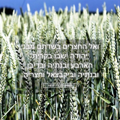 Picture 05 - נחמיה 11:25 HEB - ואל החצרים בשדתם מבני - Bible Verse Picture