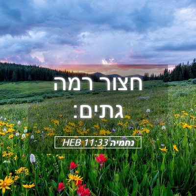 Picture 05 - נחמיה 11:33 HEB - חצור רמה - Bible Verse Picture