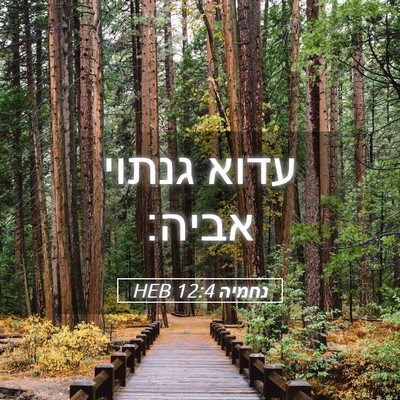 Picture 05 - נחמיה 12:4 HEB - עדוא גנתוי - Bible Verse Picture