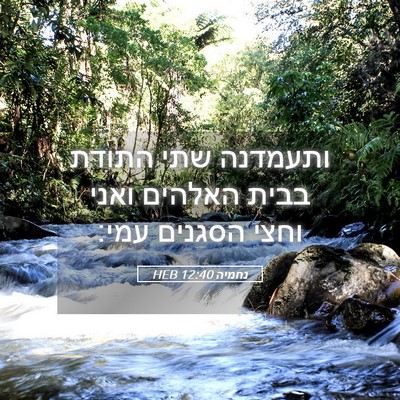 Picture 05 - נחמיה 12:40 HEB - ותעמדנה שתי התודת בבית - Bible Verse Picture