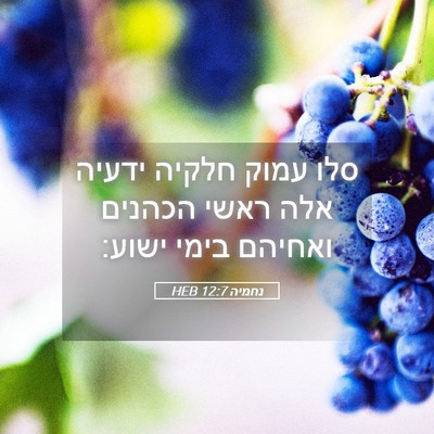Picture 05 - נחמיה 12:7 HEB - סלו עמוק חלקיה ידעיה אלה - Bible Verse Picture