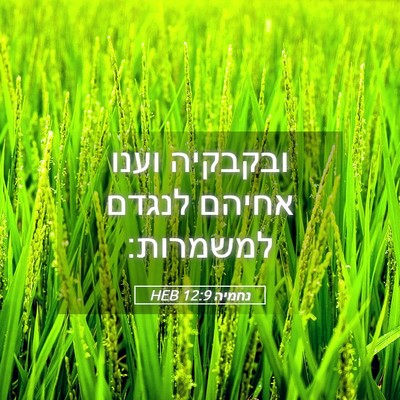 Picture 05 - נחמיה 12:9 HEB - ובקבקיה וענו אחיהם לנגדם - Bible Verse Picture
