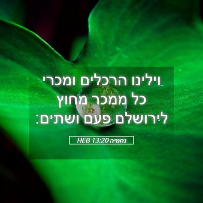 Picture 05 - נחמיה 13:20 HEB - וילינו הרכלים ומכרי כל - Bible Verse Picture
