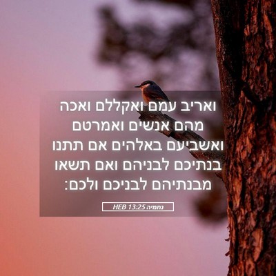 Picture 05 - נחמיה 13:25 HEB - ואריב עמם ואקללם ואכה מהם - Bible Verse Picture
