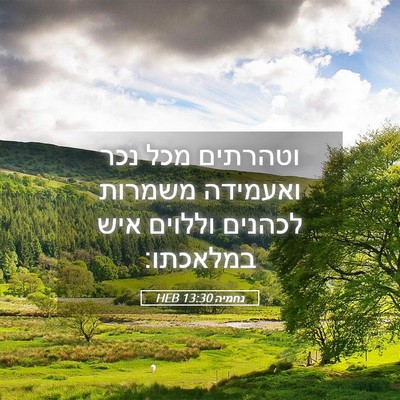 Picture 05 - נחמיה 13:30 HEB - וטהרתים מכל נכר ואעמידה - Bible Verse Picture