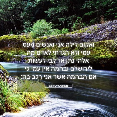 Picture 05 - נחמיה 2:12 HEB - ואקום לילה אני ואנשים מעט - Bible Verse Picture
