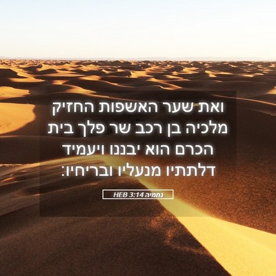 Picture 05 - נחמיה 3:14 HEB - ואת שער האשפות החזיק מלכיה - Bible Verse Picture
