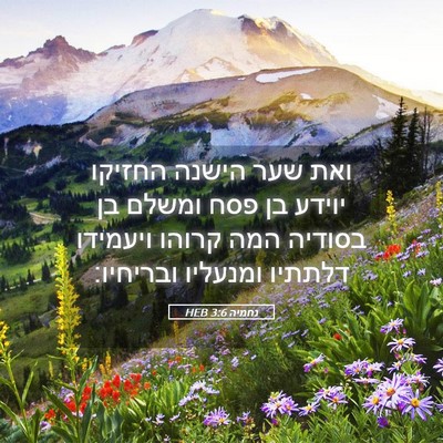 Picture 05 - נחמיה 3:6 HEB - ואת שער הישנה החזיקו יוידע - Bible Verse Picture