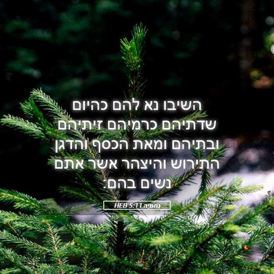 Picture 05 - נחמיה 5:11 HEB - השיבו נא להם כהיום שדתיהם - Bible Verse Picture