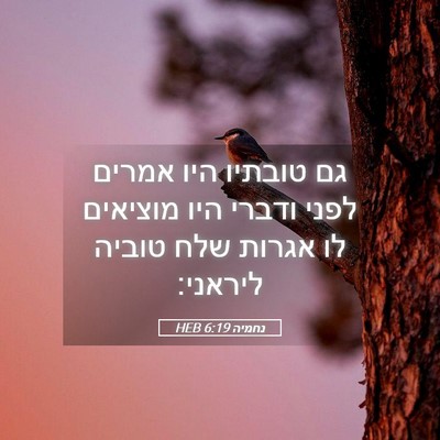 Picture 05 - נחמיה 6:19 HEB - גם טובתיו היו אמרים לפני - Bible Verse Picture