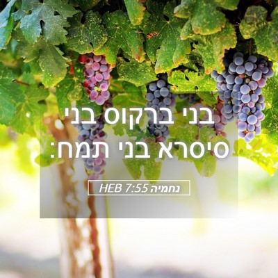 Picture 05 - נחמיה 7:55 HEB - בני ברקוס בני סיסרא בני - Bible Verse Picture