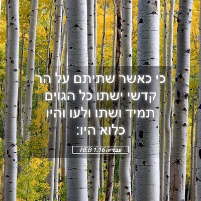 Picture 05 - עבדיה 1:16 HEB - כי כאשר שתיתם על הר קדשי - Bible Verse Picture