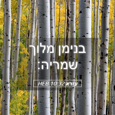 Picture 05 - עזרא 10:32 HEB - בנימן מלוך - Bible Verse Picture