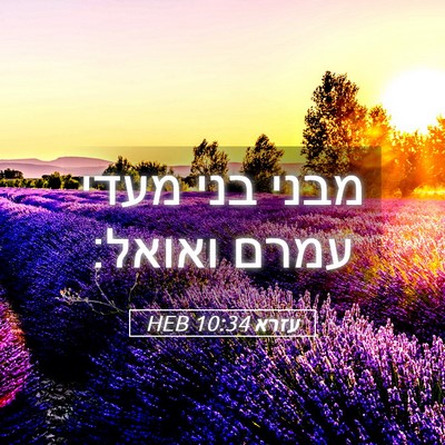 Picture 05 - עזרא 10:34 HEB - מבני בני מעדי עמרם - Bible Verse Picture