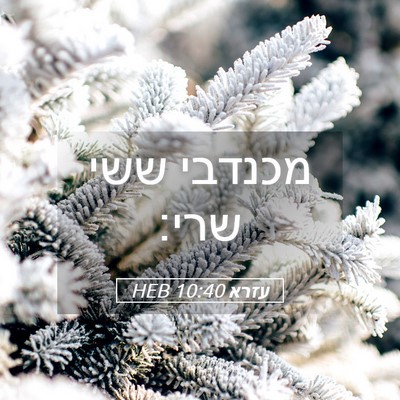 Picture 05 - עזרא 10:40 HEB - מכנדבי ששי - Bible Verse Picture