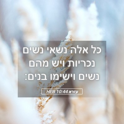 Picture 05 - עזרא 10:44 HEB - כל אלה נשאי נשים נכריות ויש - Bible Verse Picture