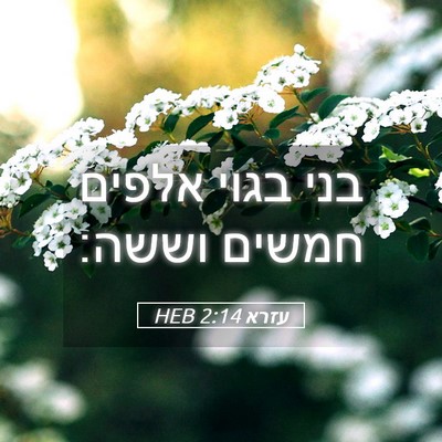 Picture 05 - עזרא 2:14 HEB - בני בגוי אלפים חמשים - Bible Verse Picture