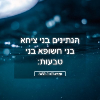 Picture 05 - עזרא 2:43 HEB - הנתינים בני ציחא בני חשופא - Bible Verse Picture