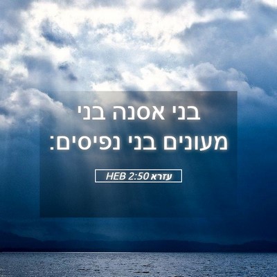 Picture 05 - עזרא 2:50 HEB - בני אסנה בני מעונים בני - Bible Verse Picture