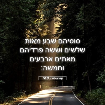Picture 05 - עזרא 2:66 HEB - סוסיהם שבע מאות שלשים וששה - Bible Verse Picture