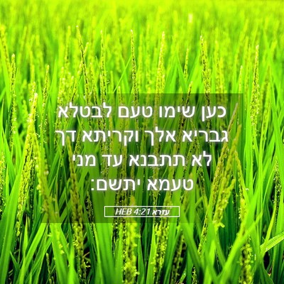 Picture 05 - עזרא 4:21 HEB - כען שימו טעם לבטלא גבריא - Bible Verse Picture