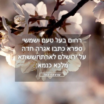 Picture 05 - עזרא 4:8 HEB - רחום בעל טעם ושמשי ספרא - Bible Verse Picture