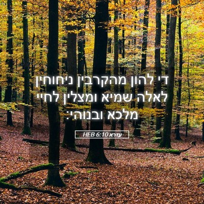 Picture 05 - עזרא 6:10 HEB - די להון מהקרבין ניחוחין - Bible Verse Picture