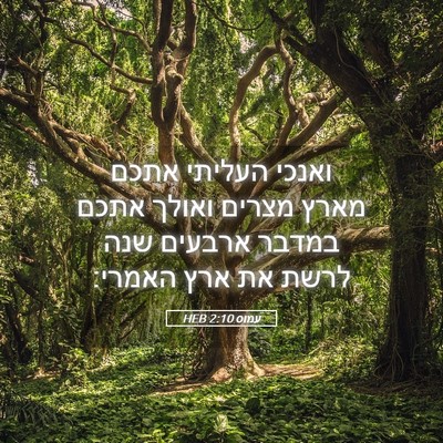 Picture 05 - עמוס 2:10 HEB - ואנכי העליתי אתכם מארץ - Bible Verse Picture