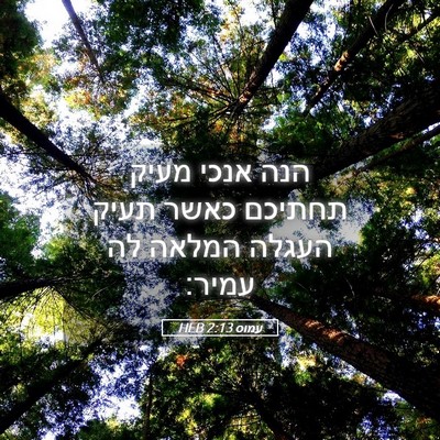 Picture 05 - עמוס 2:13 HEB - הנה אנכי מעיק תחתיכם כאשר - Bible Verse Picture
