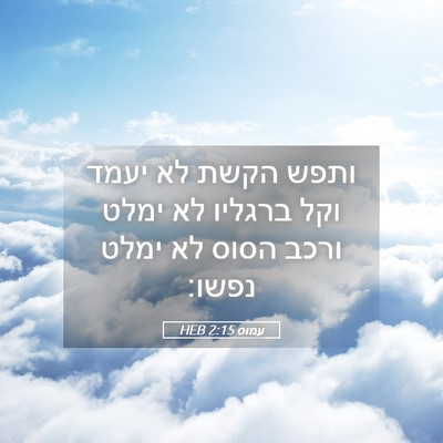 Picture 05 - עמוס 2:15 HEB - ותפש הקשת לא יעמד וקל - Bible Verse Picture