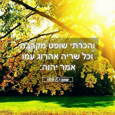 Picture 05 - עמוס 2:3 HEB - והכרתי שופט מקרבה וכל שריה - Bible Verse Picture