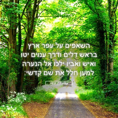 Picture 05 - עמוס 2:7 HEB - השאפים על עפר ארץ בראש דלים - Bible Verse Picture