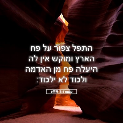 Picture 05 - עמוס 3:5 HEB - התפל צפור על פח הארץ ומוקש - Bible Verse Picture
