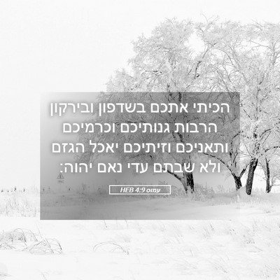 Picture 05 - עמוס 4:9 HEB - הכיתי אתכם בשדפון ובירקון - Bible Verse Picture