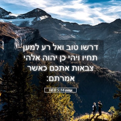 Picture 05 - עמוס 5:14 HEB - דרשו טוב ואל רע למען תחיו - Bible Verse Picture