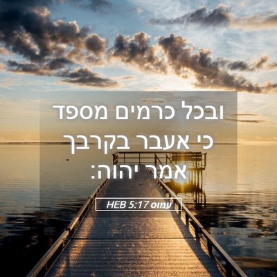 Picture 05 - עמוס 5:17 HEB - ובכל כרמים מספד כי אעבר - Bible Verse Picture