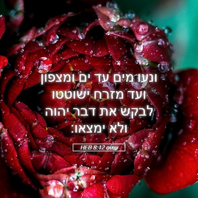 Picture 05 - עמוס 8:12 HEB - ונעו מים עד ים ומצפון ועד - Bible Verse Picture