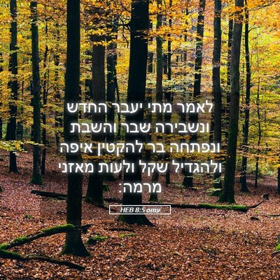 Picture 05 - עמוס 8:5 HEB - לאמר מתי יעבר החדש ונשבירה - Bible Verse Picture