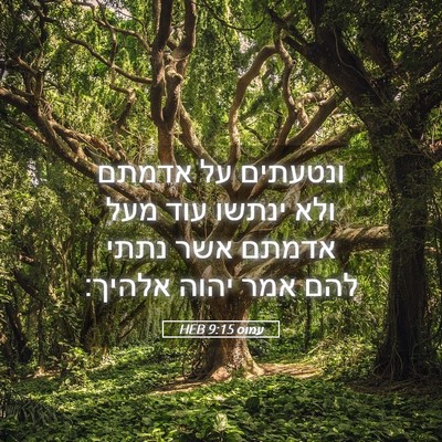 Picture 05 - עמוס 9:15 HEB - ונטעתים על אדמתם ולא ינתשו - Bible Verse Picture