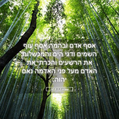 Picture 05 - צפניה 1:3 HEB - אסף אדם ובהמה אסף עוף השמים - Bible Verse Picture